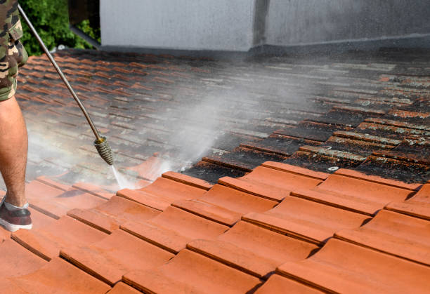 Best Pressure Washing Near Me  in Hailey, ID